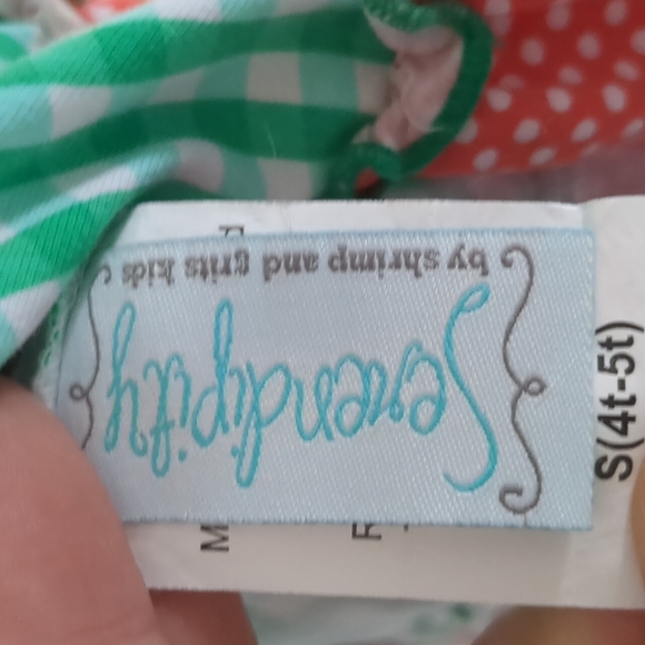 Serendipity by Shrimp and Grits kids matching dresses S4t-5t and XL9-10 - Picture 8 of 8